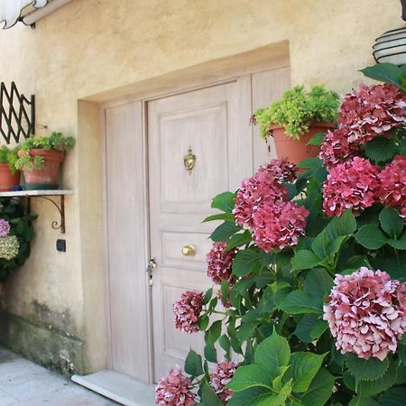 Guest House La Marignana Mogliano Veneto Exterior foto