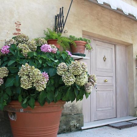 Guest House La Marignana Mogliano Veneto Exterior foto